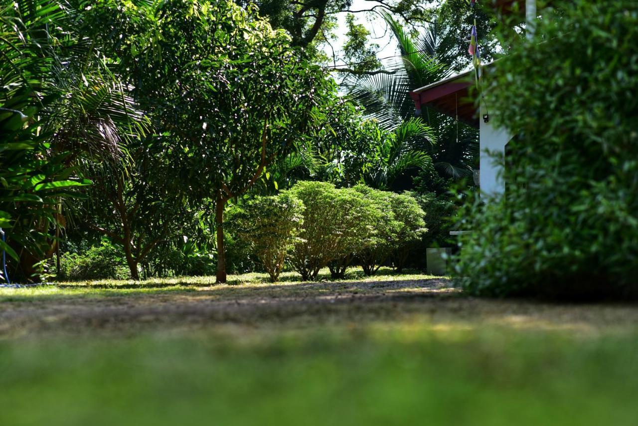 Tamarind Blue Hotel Tangalle Exterior photo