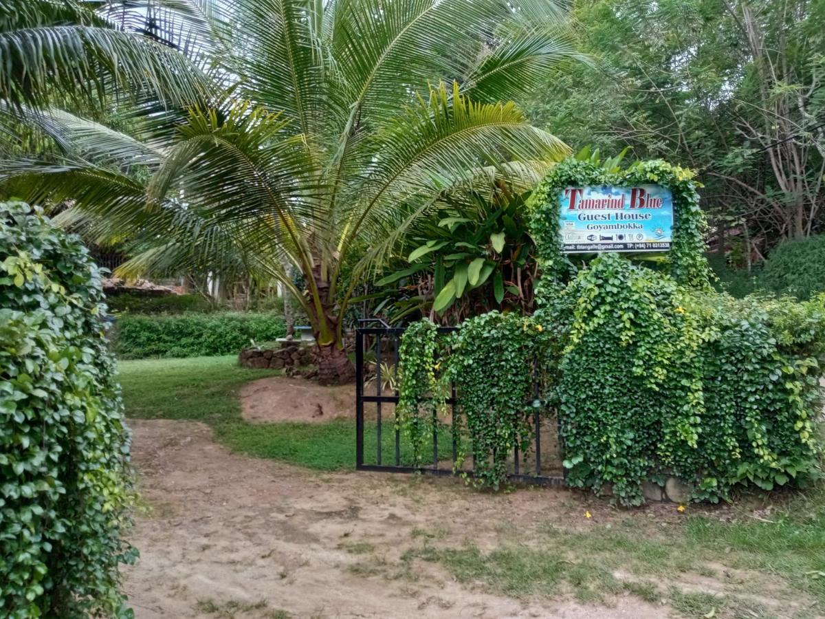 Tamarind Blue Hotel Tangalle Exterior photo